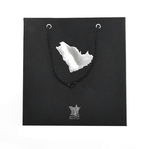 OEM Custom High Quality Kraft Paper Bag Luxury Style for Shoes Packing Custom Printed with Your Logo for Clothing Gift Shopping