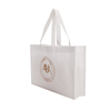 Fashion Wholesale Logo Boutique Custom Shopping Bag with Non Woven Bag Shopping Price Promotional with Printing Tote Bag Gift