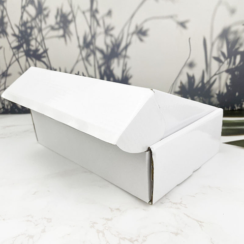 Free Samples Custom Printed Design Postal Shipping Mailing Box Folding Corrugated Cardboard Packaging Mailer Box Airplane Box