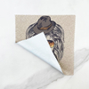 Lion Pattern Microfiber Eyeglasses Glasses Cleaning Cloth Eyewear Accessories Sunglasses Screen Lens Cleaner Cloth