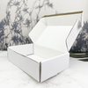Free Samples Custom Printed Design Postal Shipping Mailing Box Folding Corrugated Cardboard Packaging Mailer Box Airplane Box