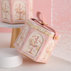 Kindergarten Children's Birthday Cute Gift Bag Candy Box Carousel Baby's Full Moon Hundred Day Banquet Candy Box